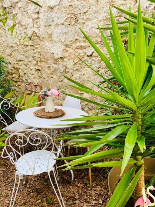 Havre De Paix Avec Jardin Et Clim En Centre Ville De Sète מראה חיצוני תמונה