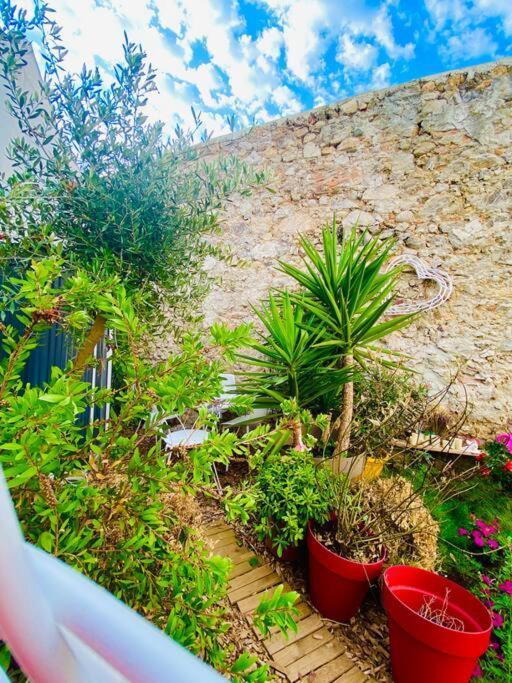 Havre De Paix Avec Jardin Et Clim En Centre Ville De Sète מראה חיצוני תמונה
