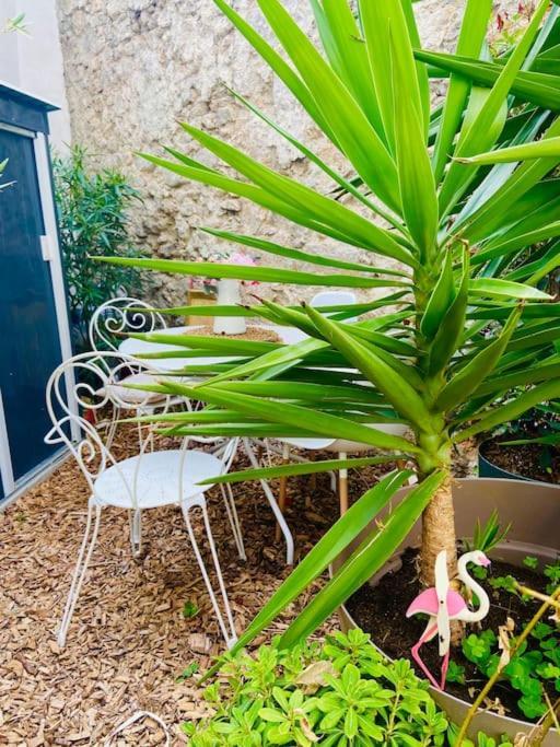 Havre De Paix Avec Jardin Et Clim En Centre Ville De Sète מראה חיצוני תמונה
